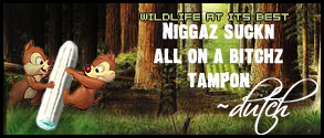 tampon.jpg